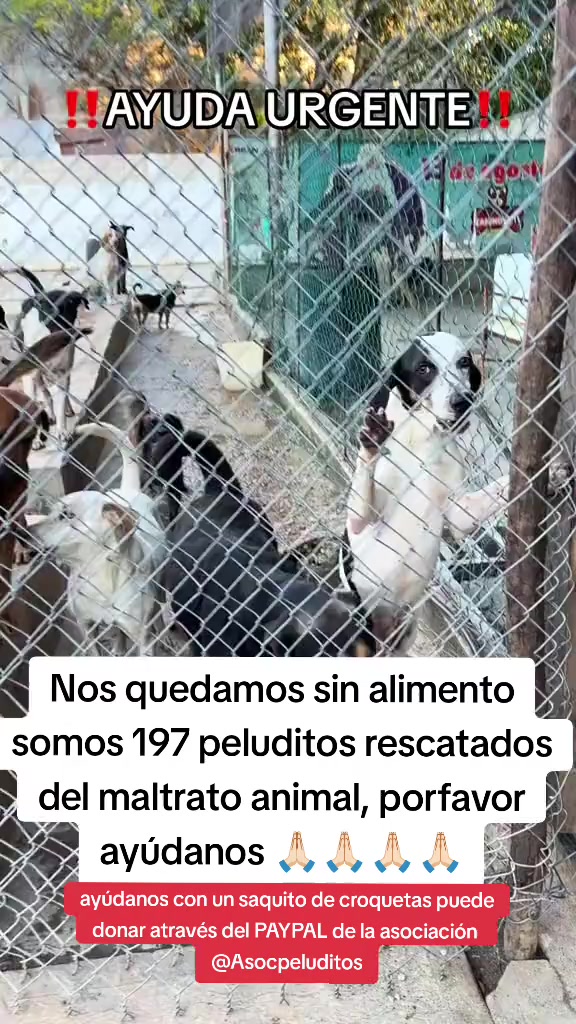 @Asoc. Peluditos