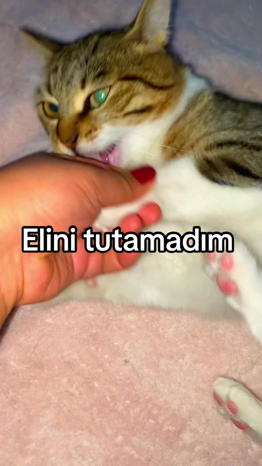 @yudummz_