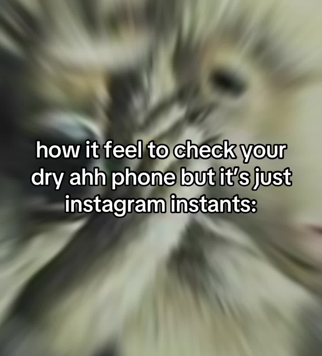 @shin/: