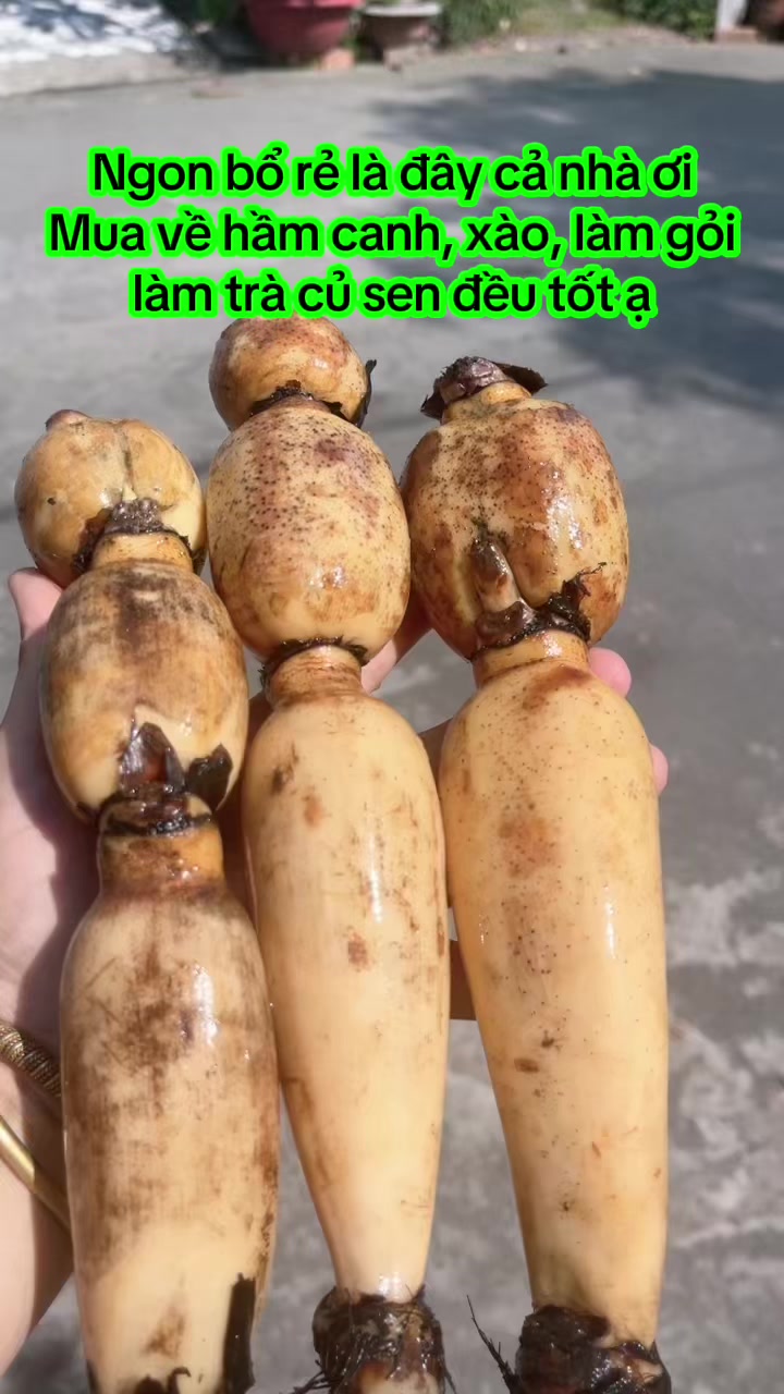 @nguyentuyet_79