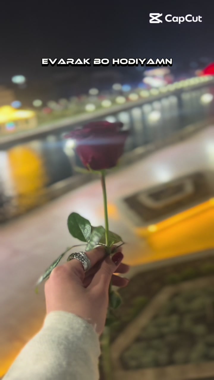 @حـلاا🐆🩶