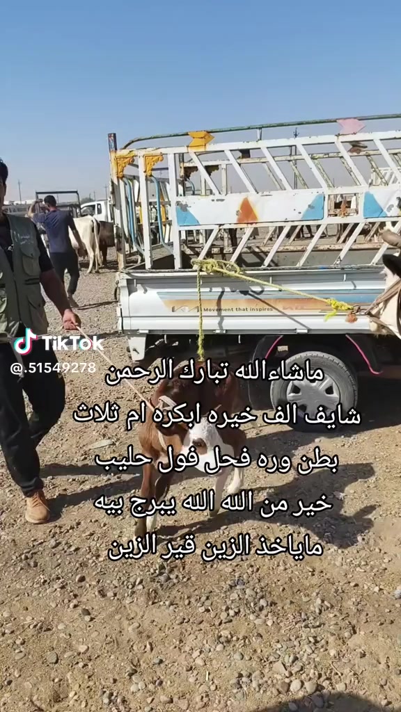 @حمودي حمودي ☺