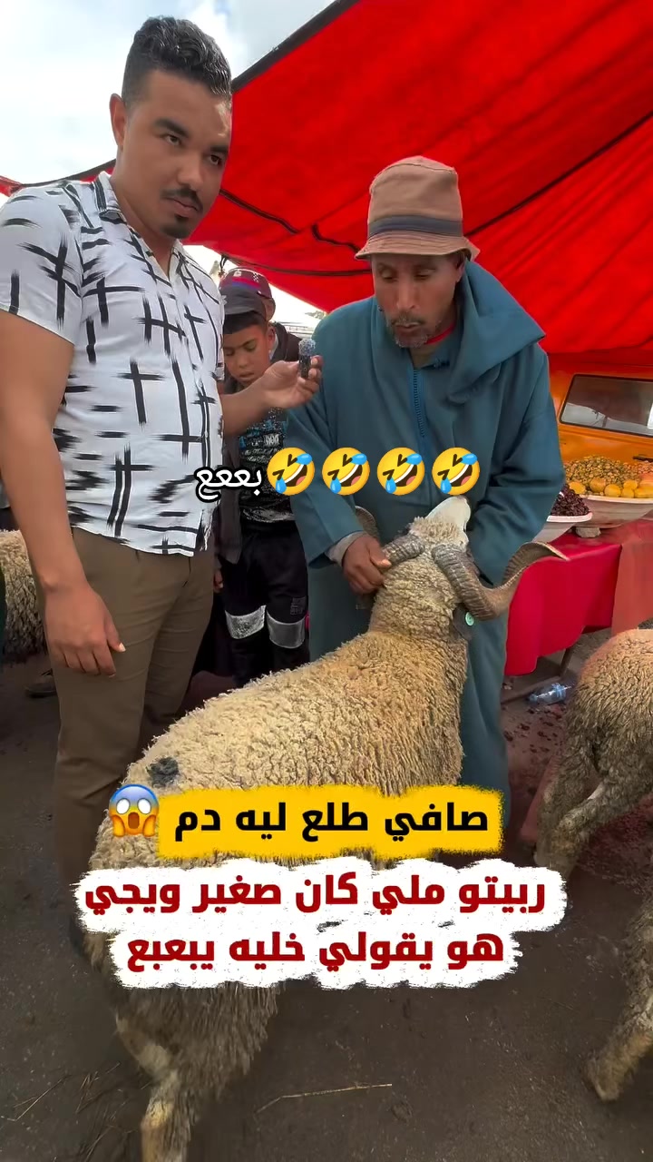 @HAHA+maroc vibes