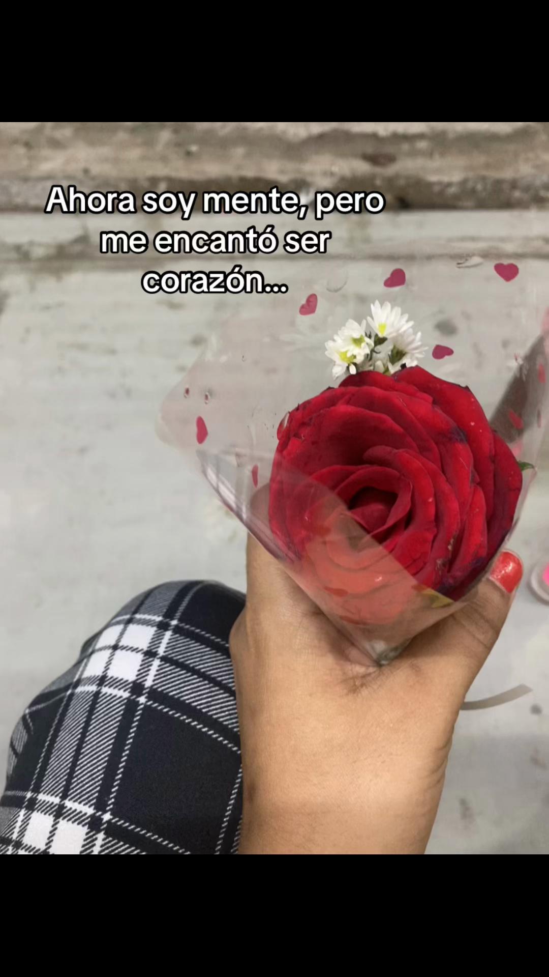 @kalany333