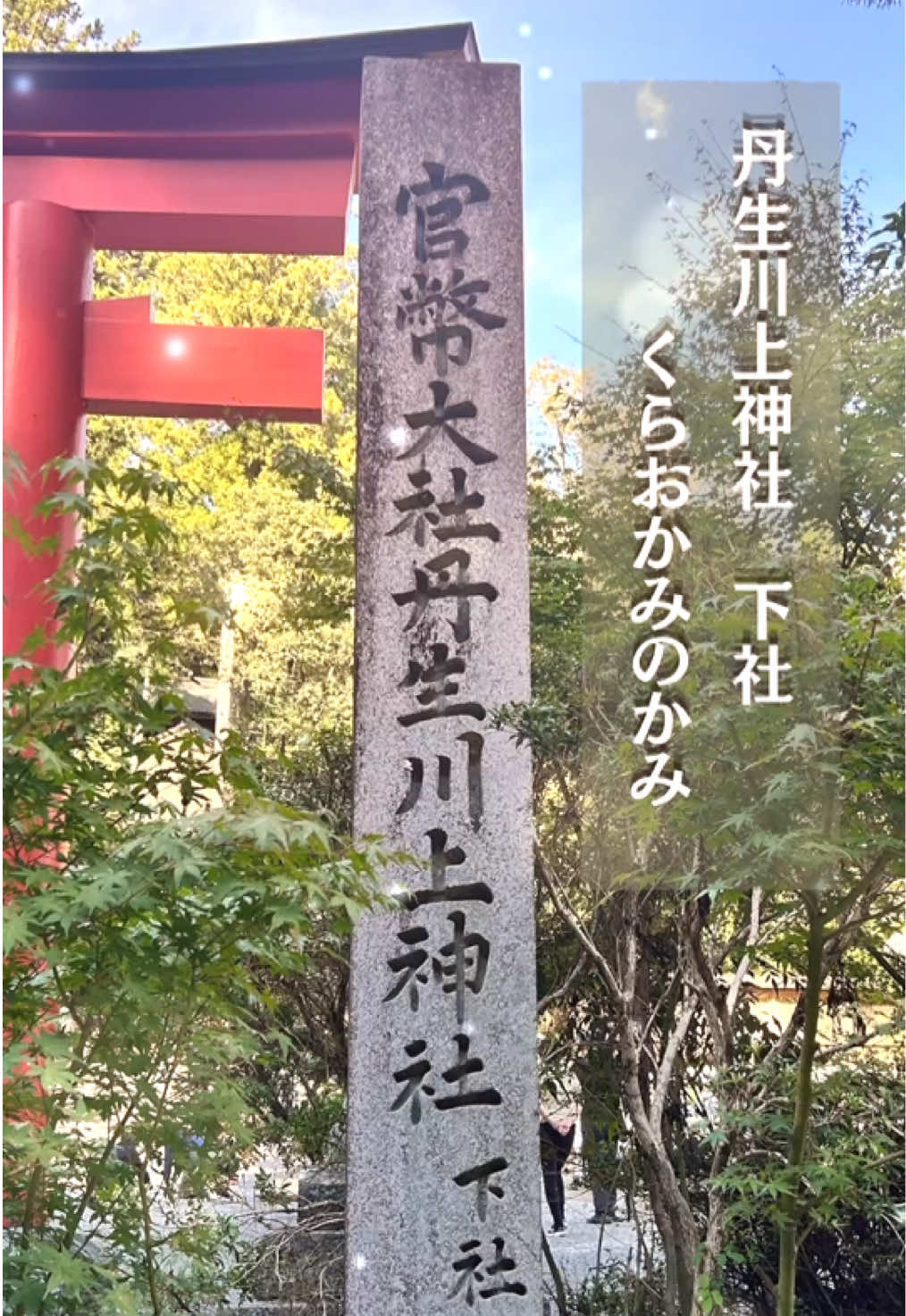 @hoshino_tarot