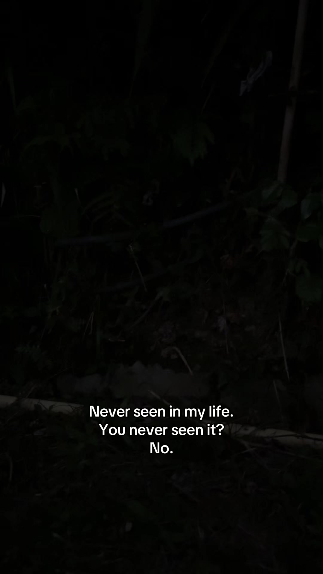 @Vane Diaz