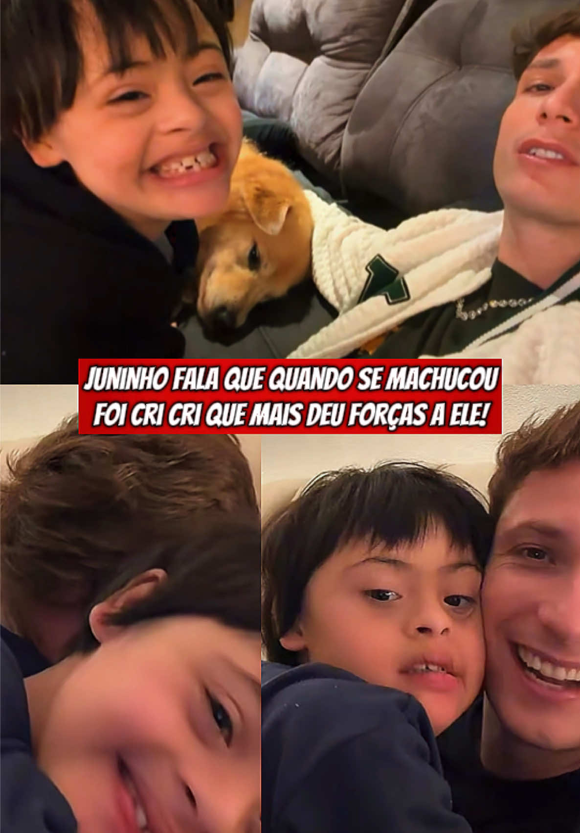 @Junirox Brasil 🇧🇷🐯💚🐢