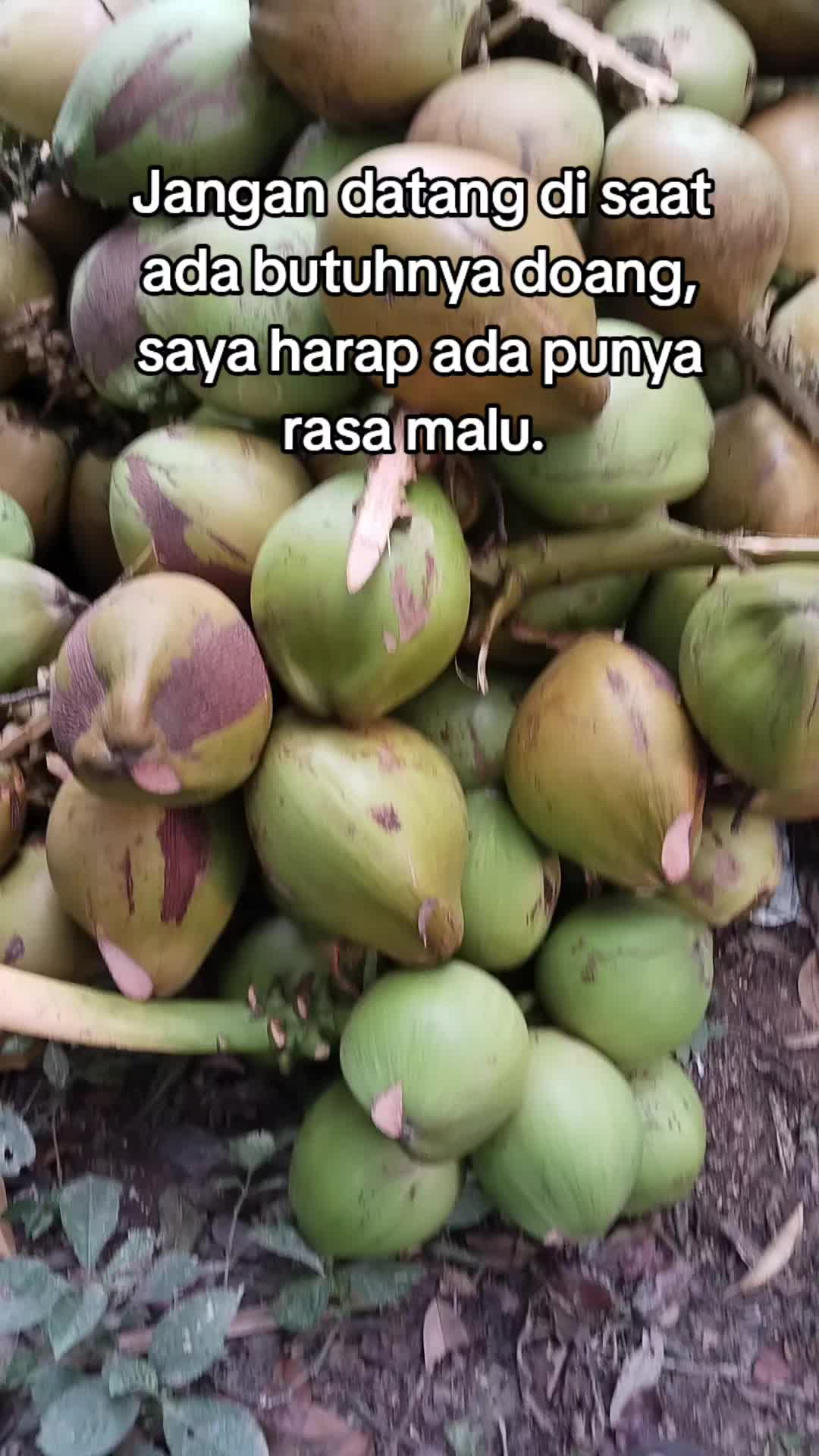 @@BANGKIT_MANDIRI01
