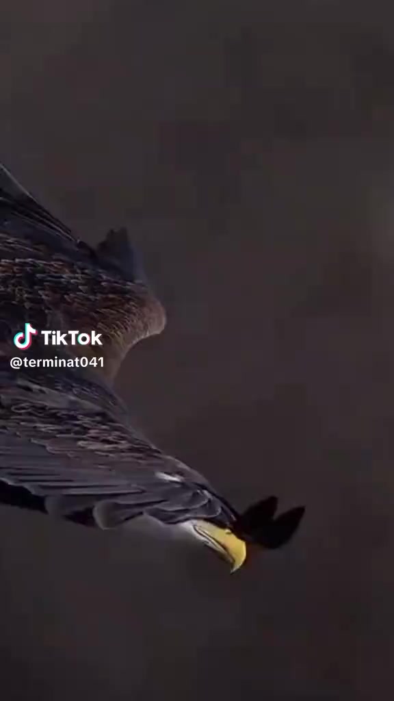 @Nevin Özcan