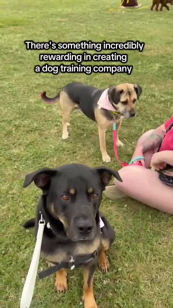 @Kairo's K9s Training 🇨🇦