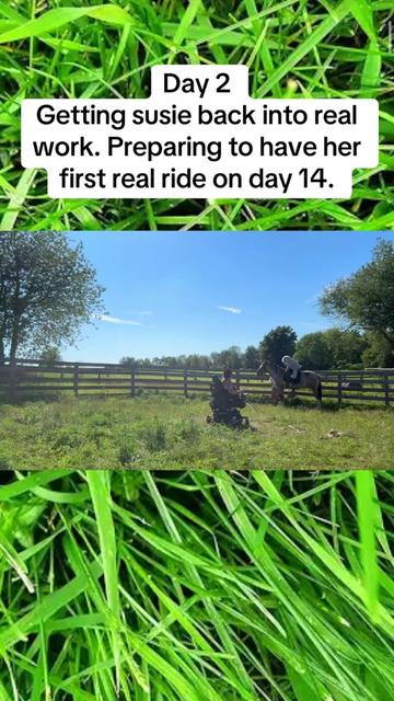 @Auntie Tannas Funny Farm