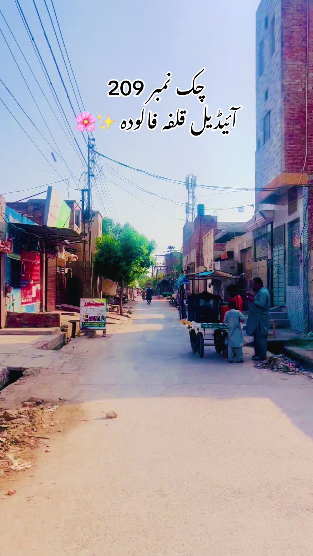 @merapind209