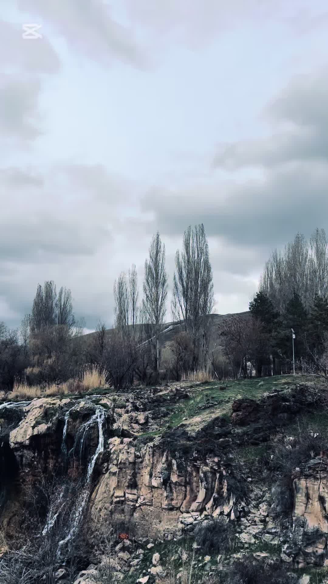 @Madhomee