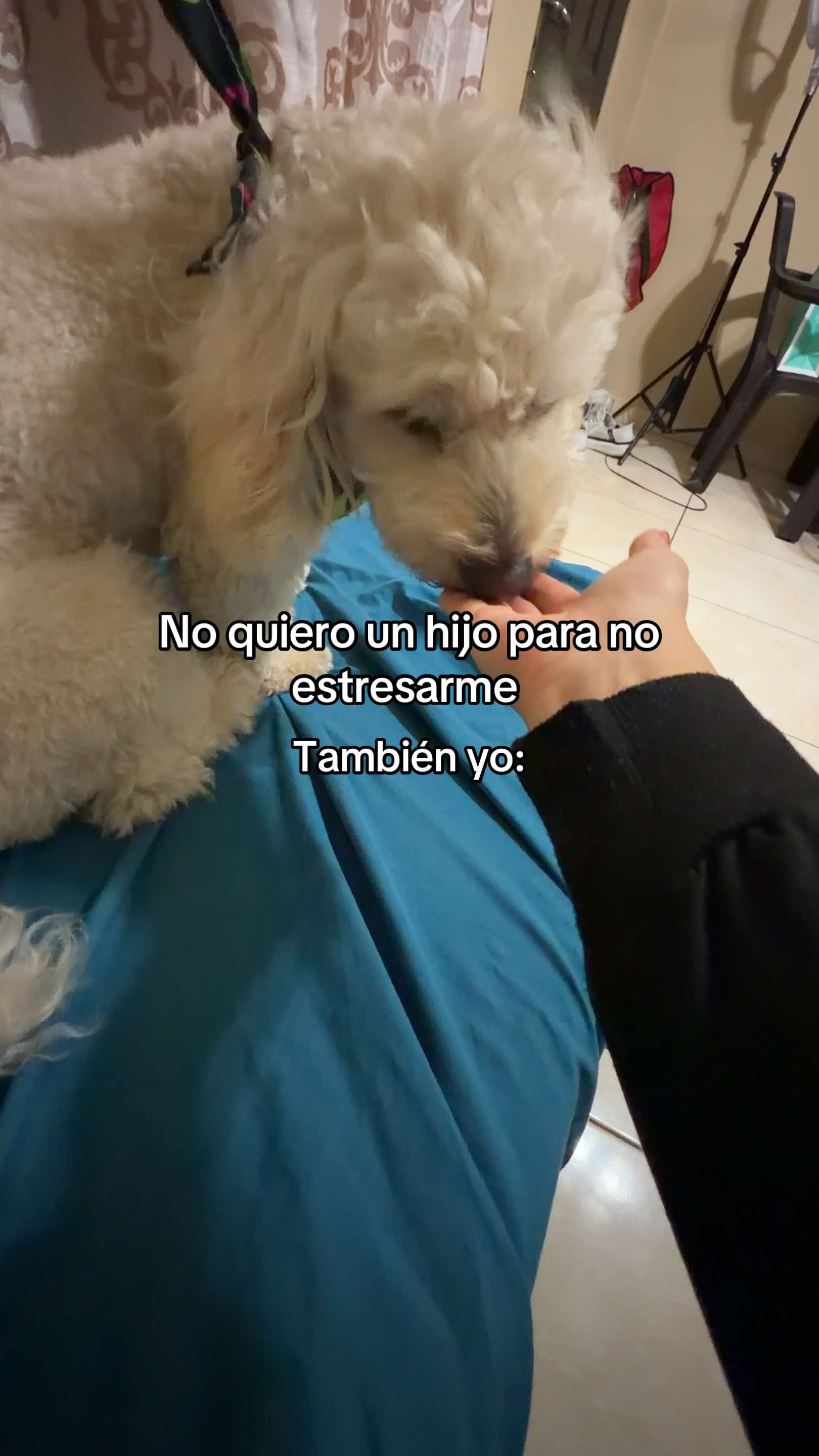 @mariale 💖