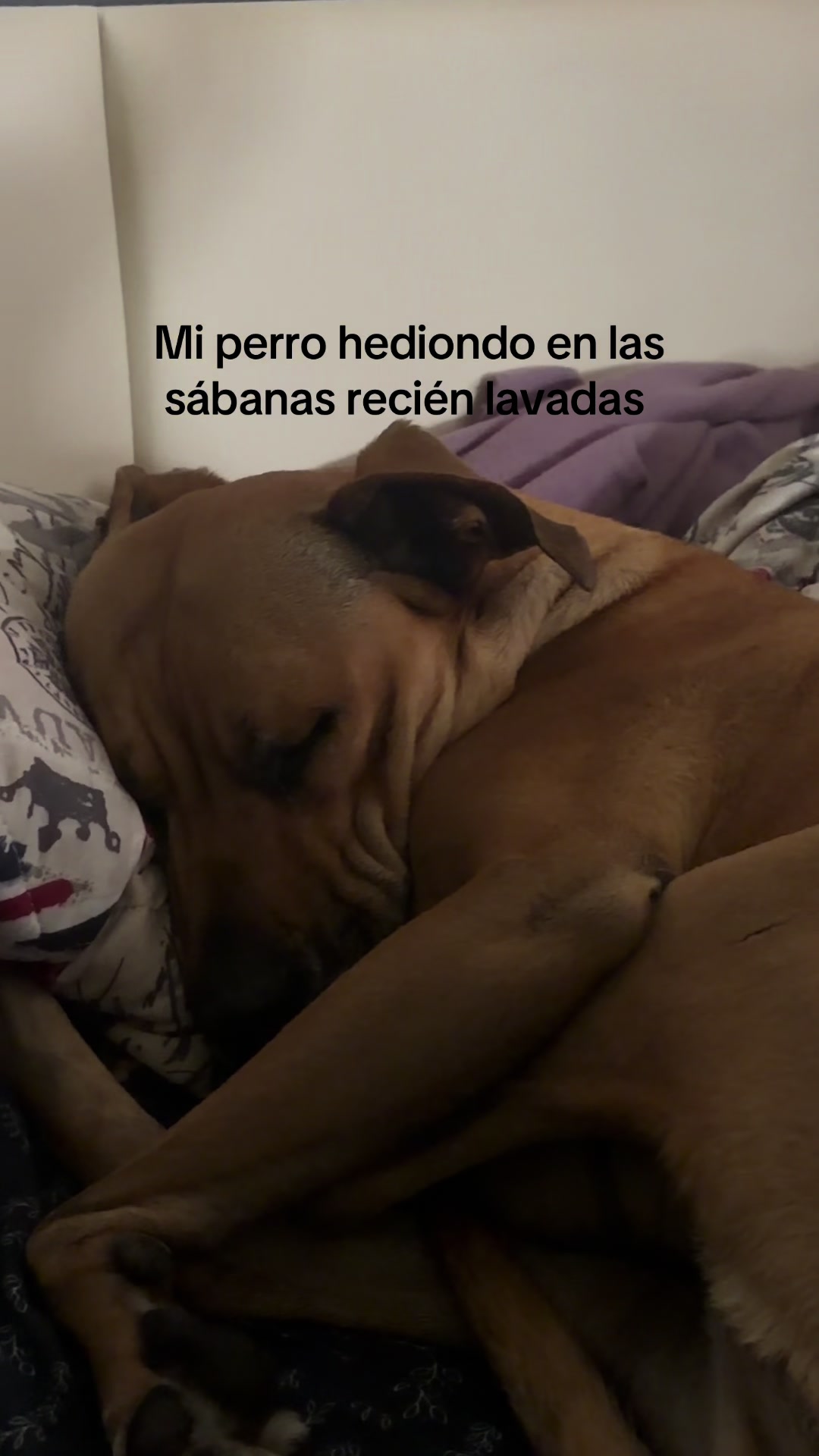 @danyween_