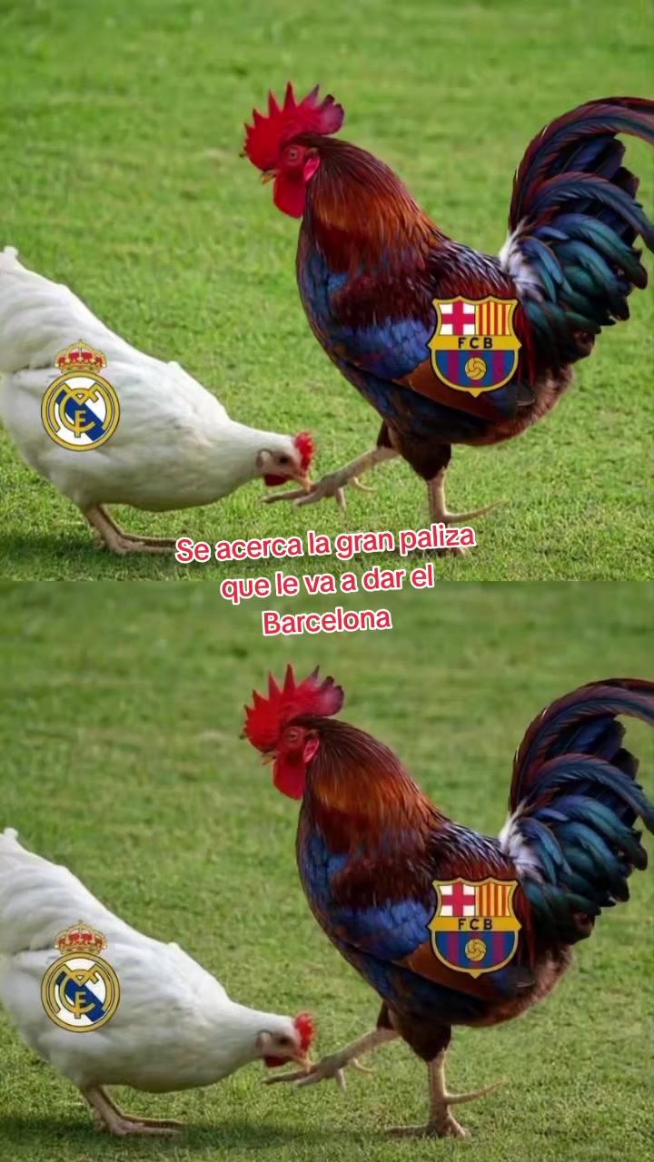 @🔵🔴fcbarcelona🔵🔴