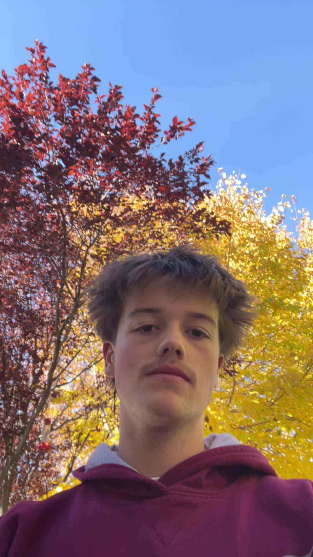 @ian