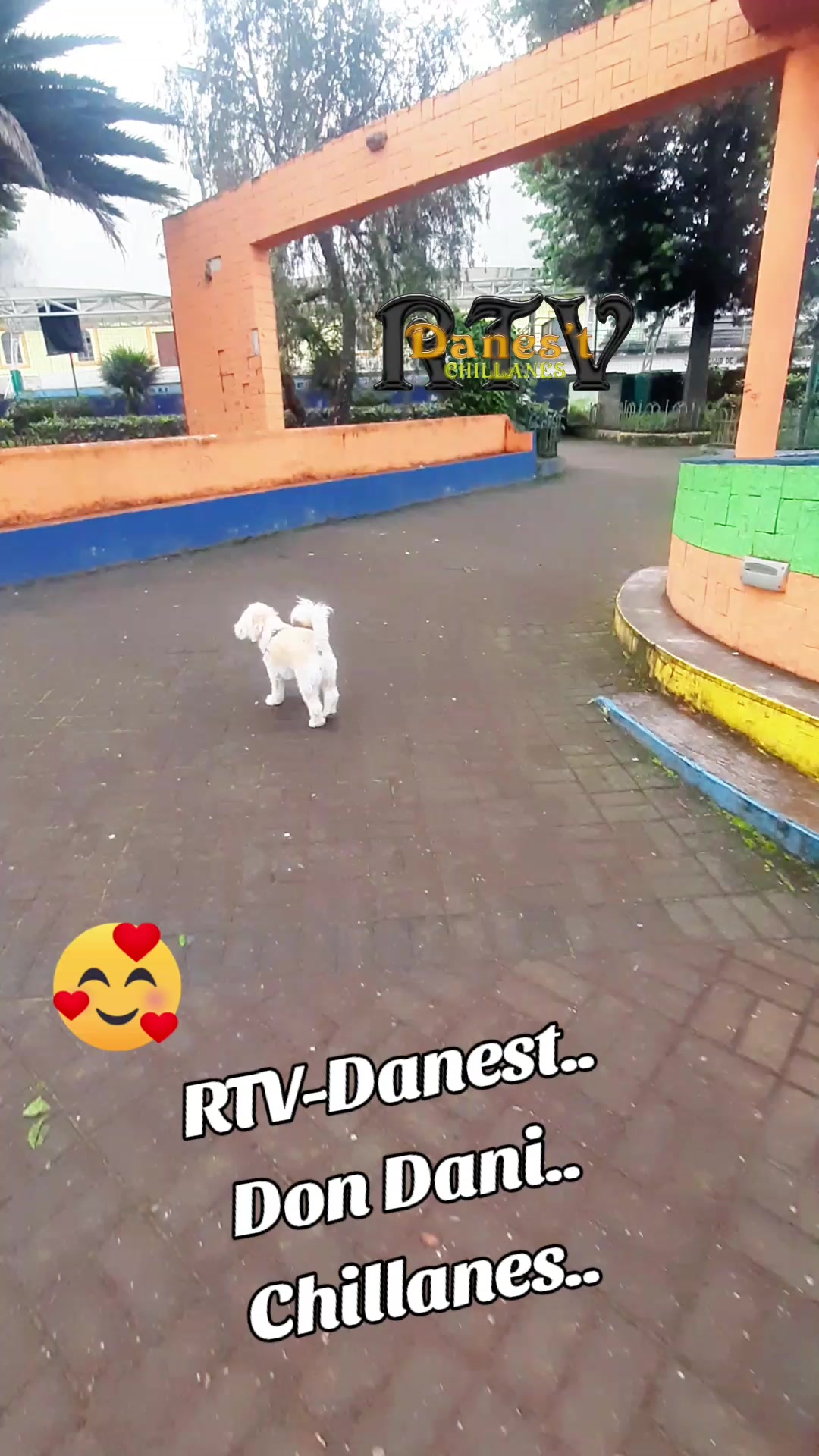 @Don Dani..Rtv-Danest.Chillanes