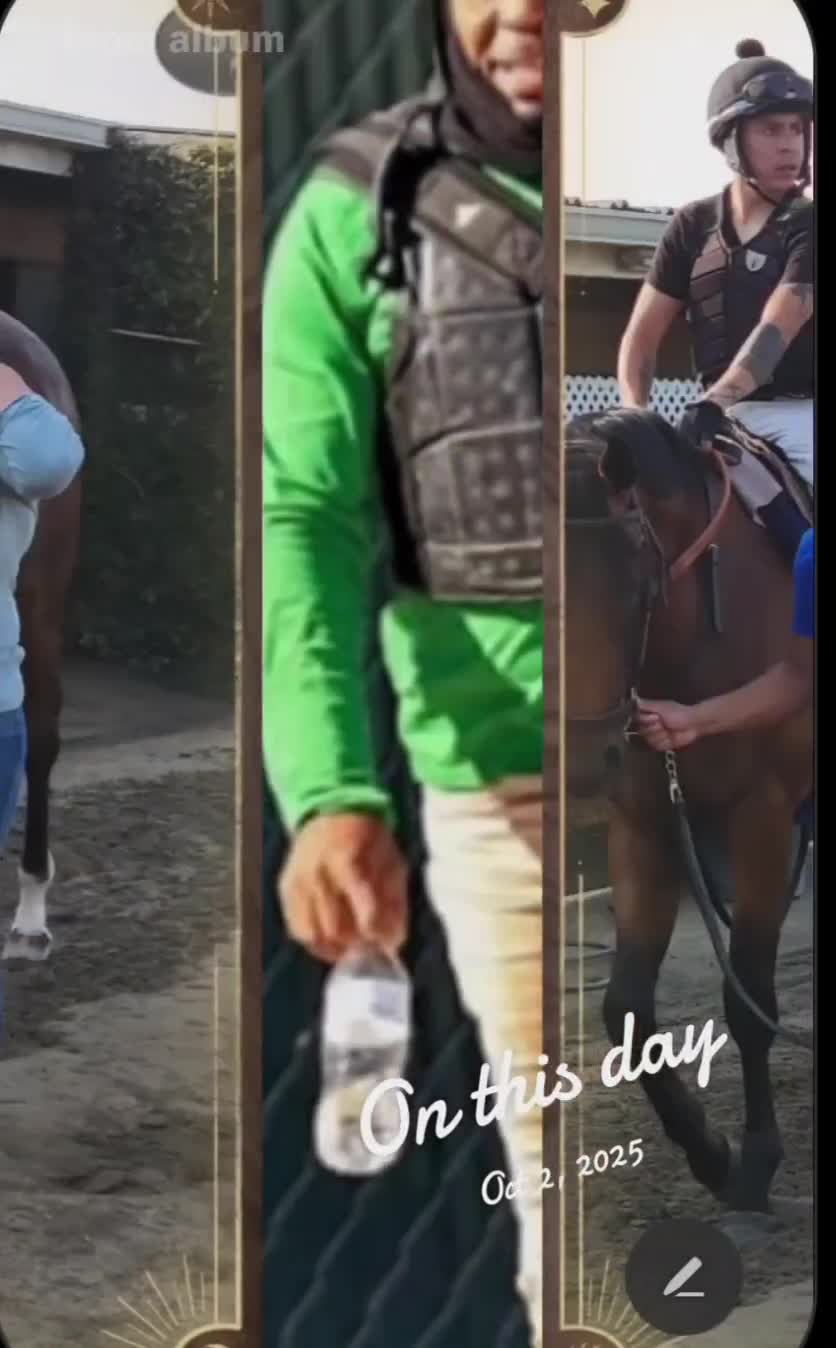 @1CeeGee13_ "ASHE" ❌️🇯🇲🇺🇲