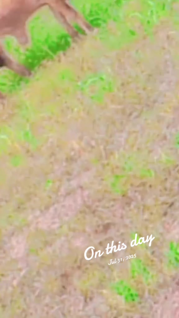 @sarabrajpoot5
