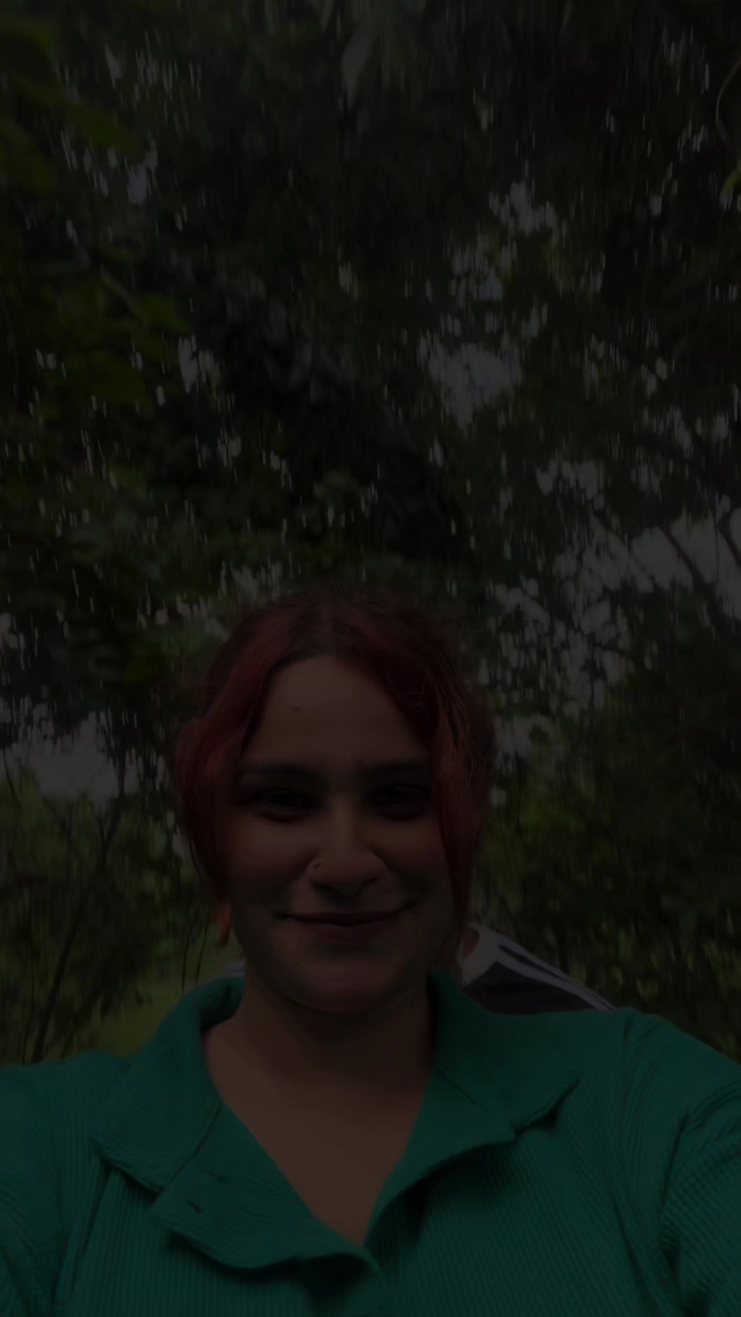 @I M A 🦕