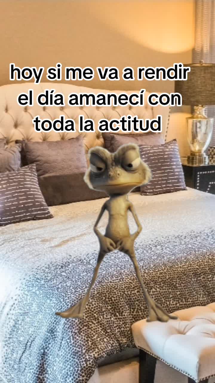 @Manuel❤️ceci