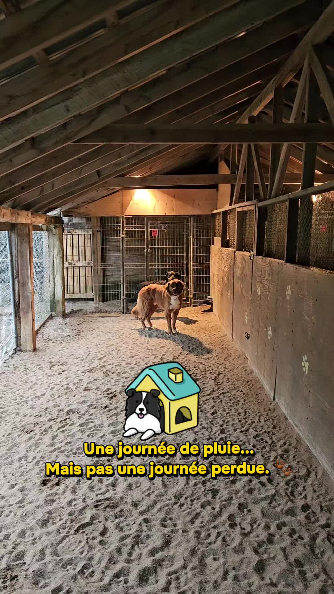 @Le Felin🐾