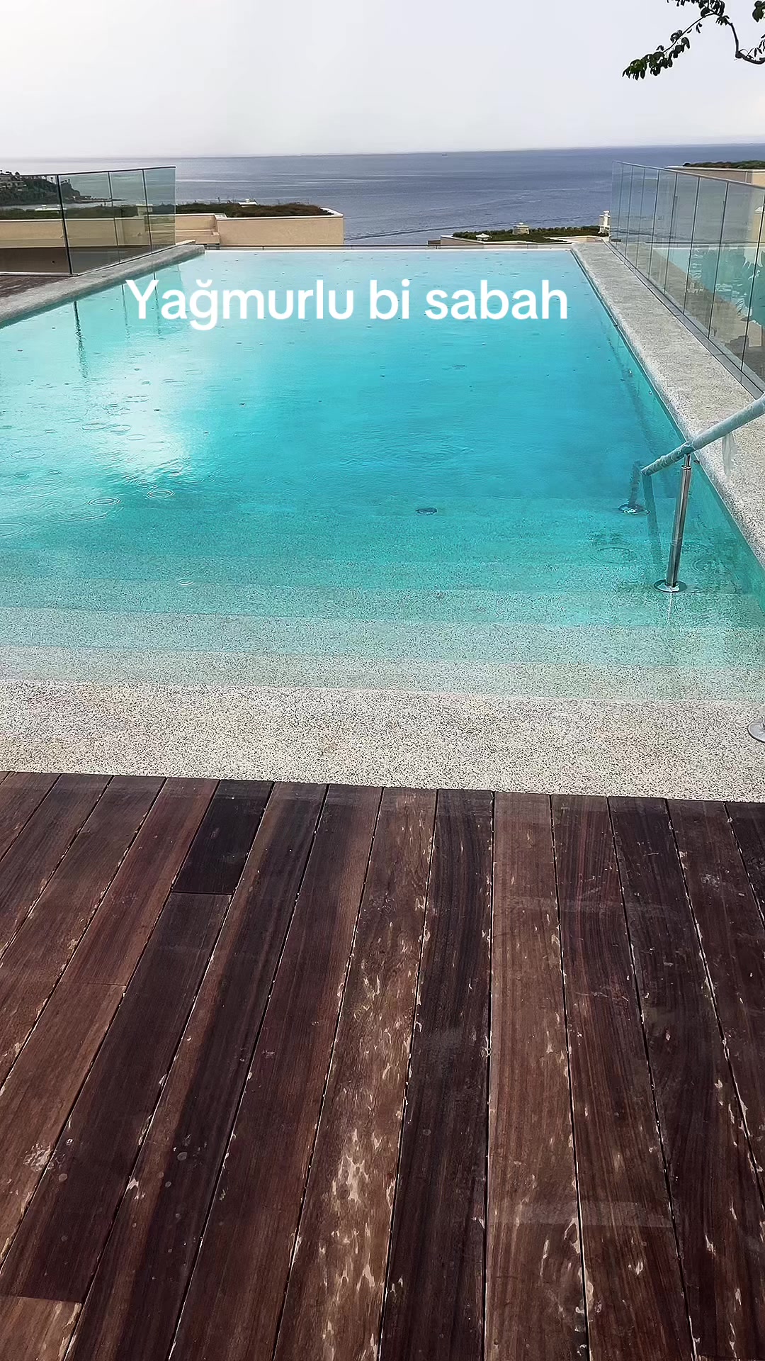 @🕊️Dr_necoo🕊️