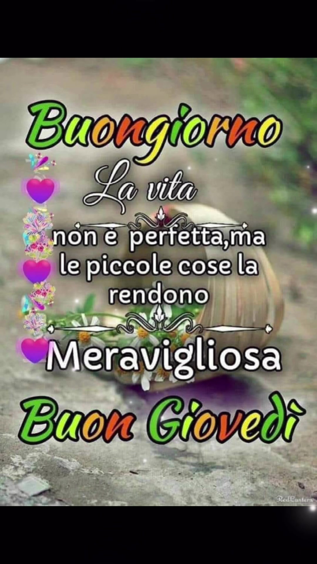 @Chicca Speranza