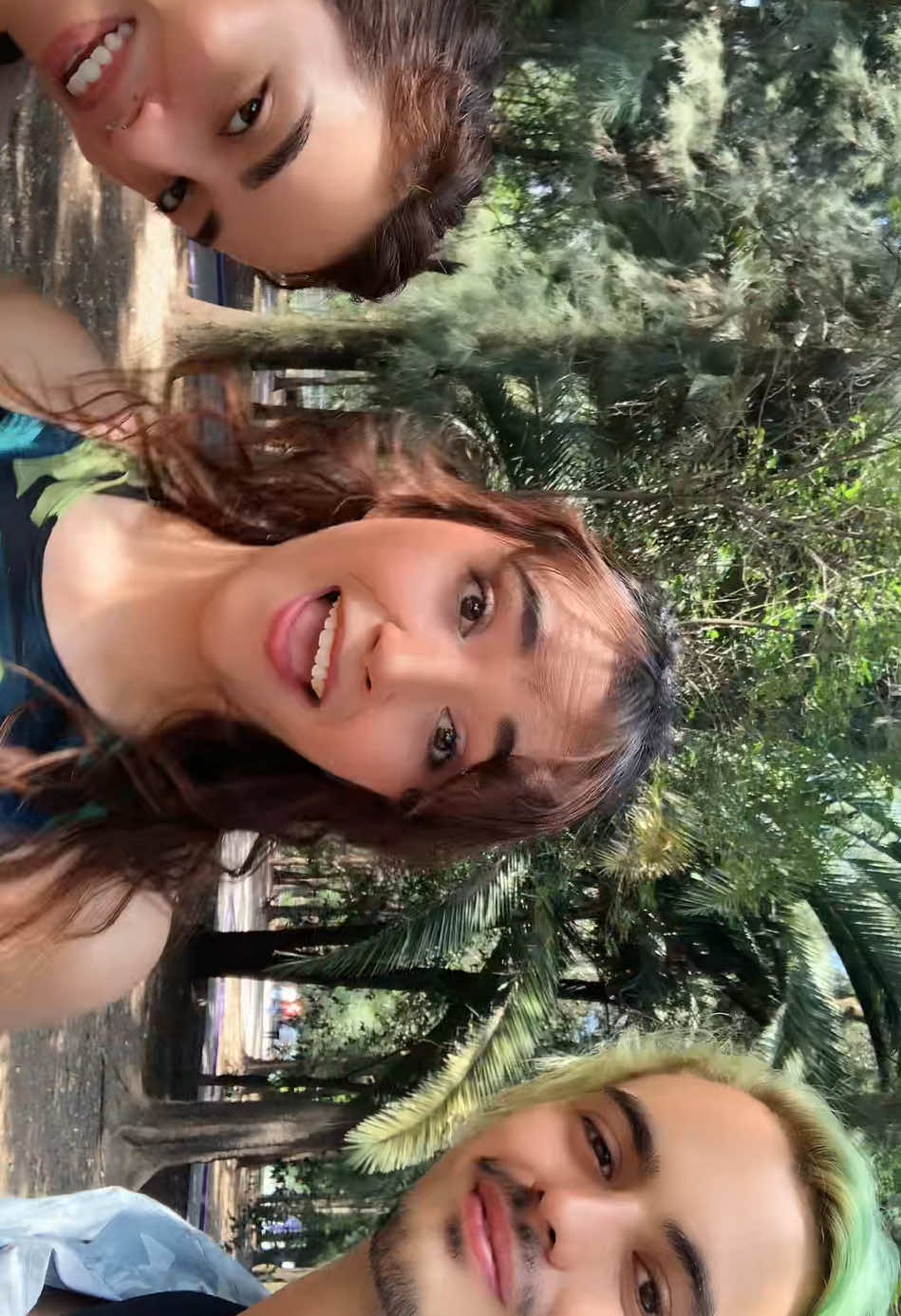 @Amicii Oficial