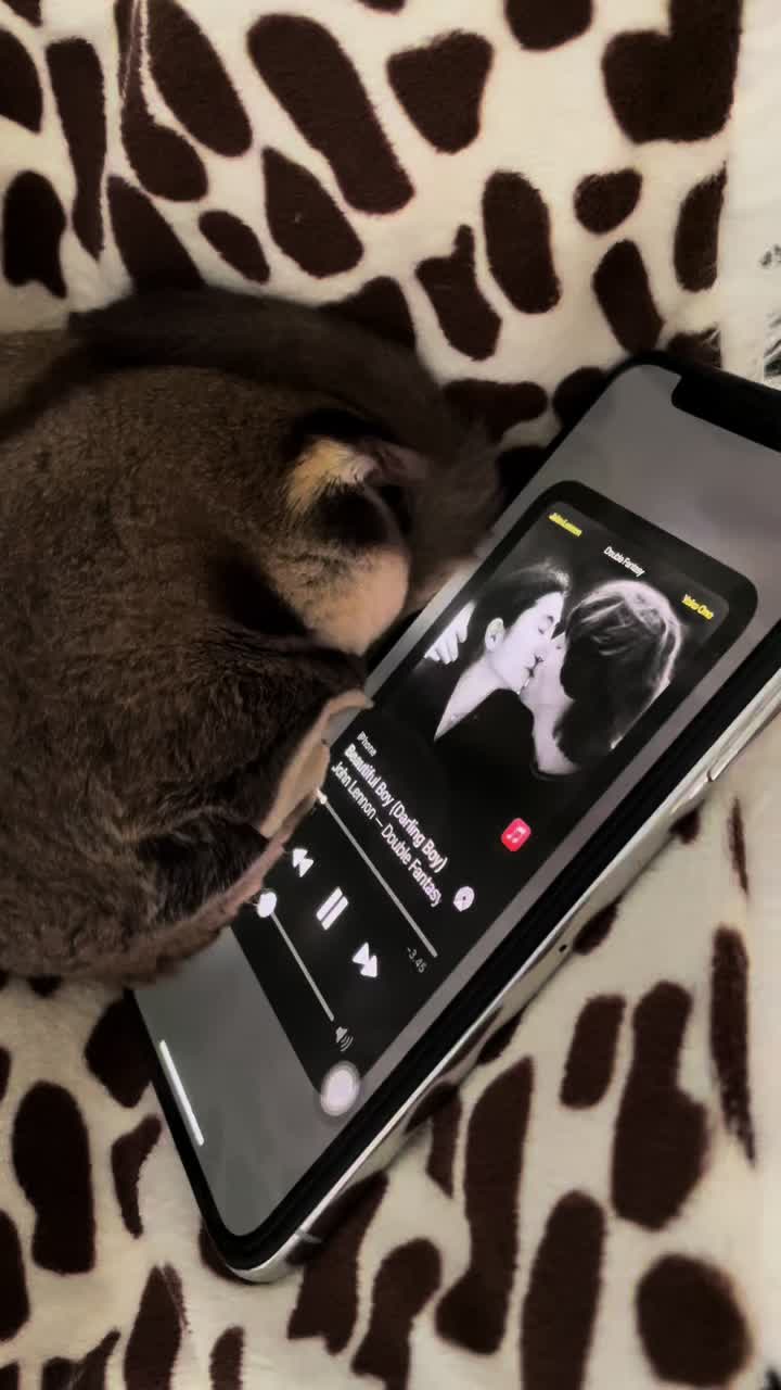 @Sadglider