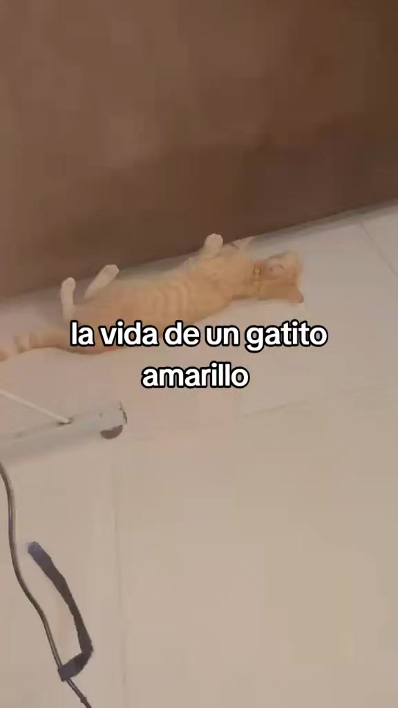 @Miss Ary