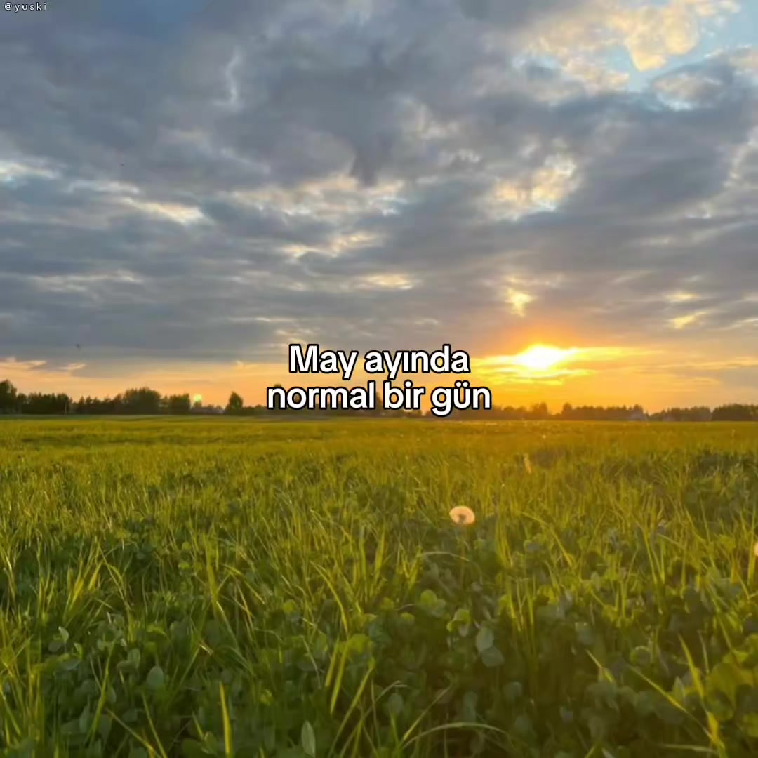 @𝙔𝙪𝙨𝙠𝙞シ︎