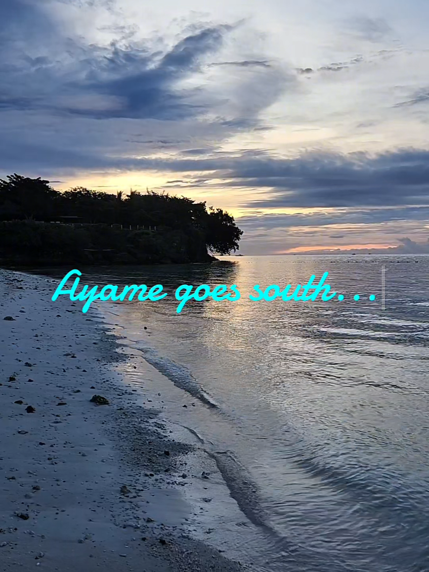 @Ayame Marek