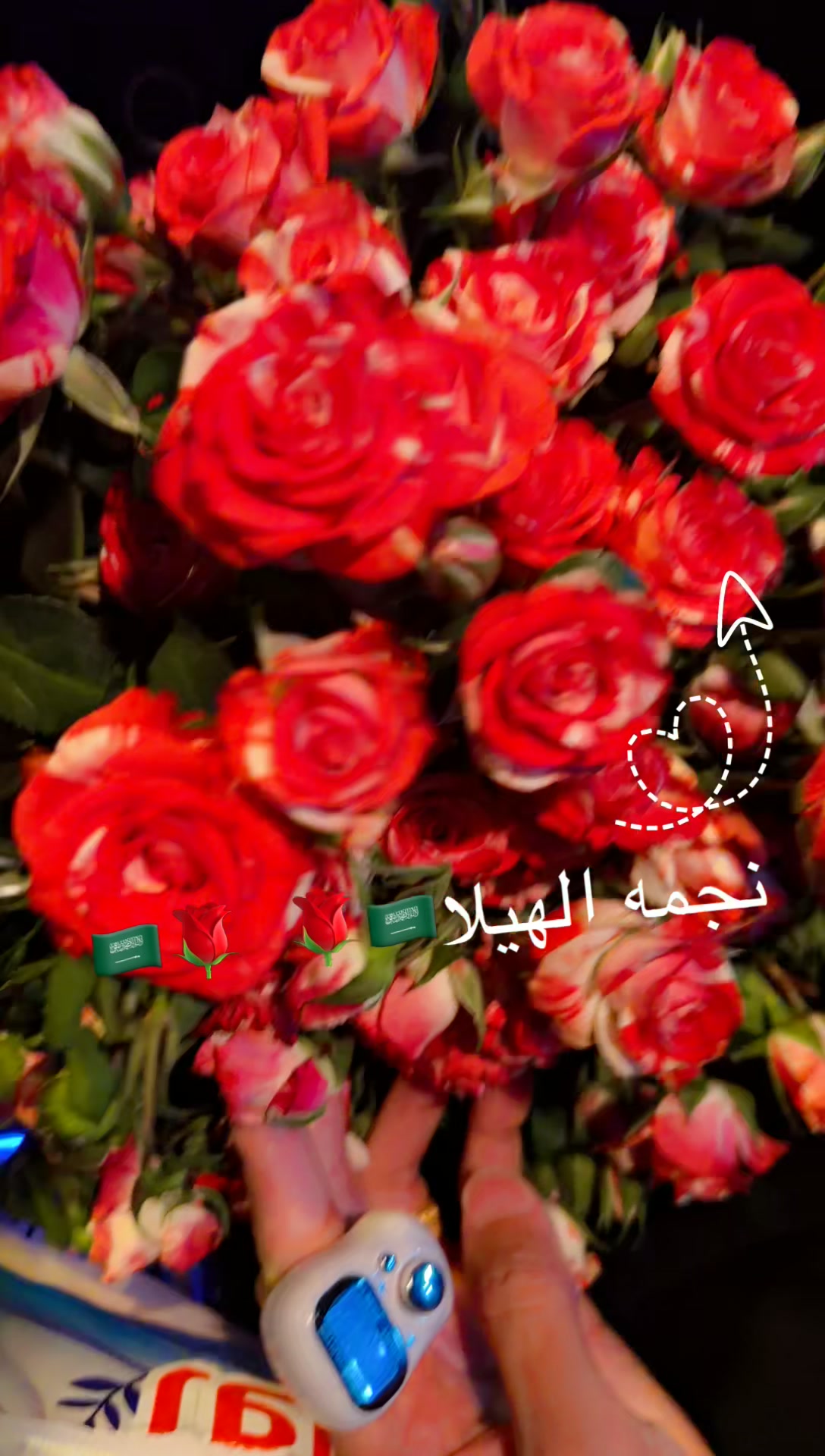 @⭐️⭐️⭐️نجمة الهيلا وبس ⭐️(١)⭐️