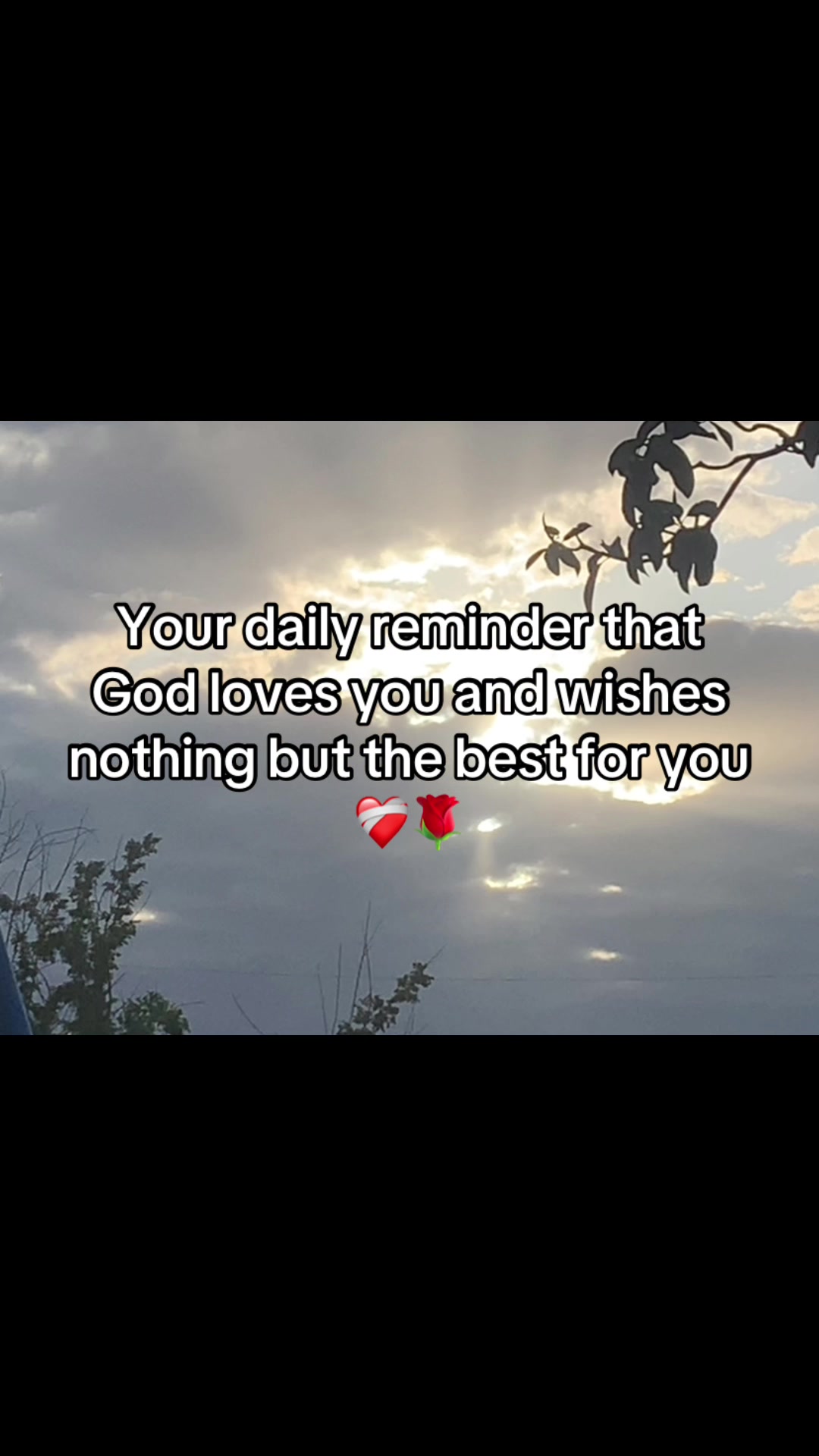 @Adequate Vids✝️ 💭🏝️&middot; Friends