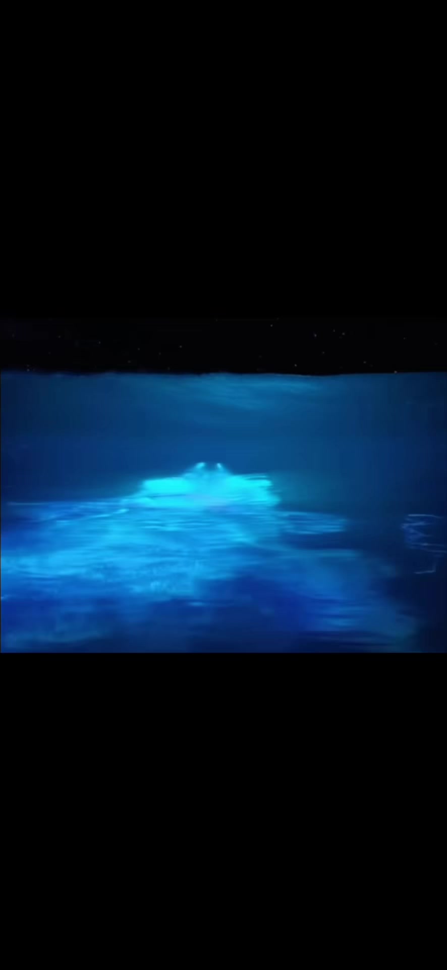 @dreamingcozyamber