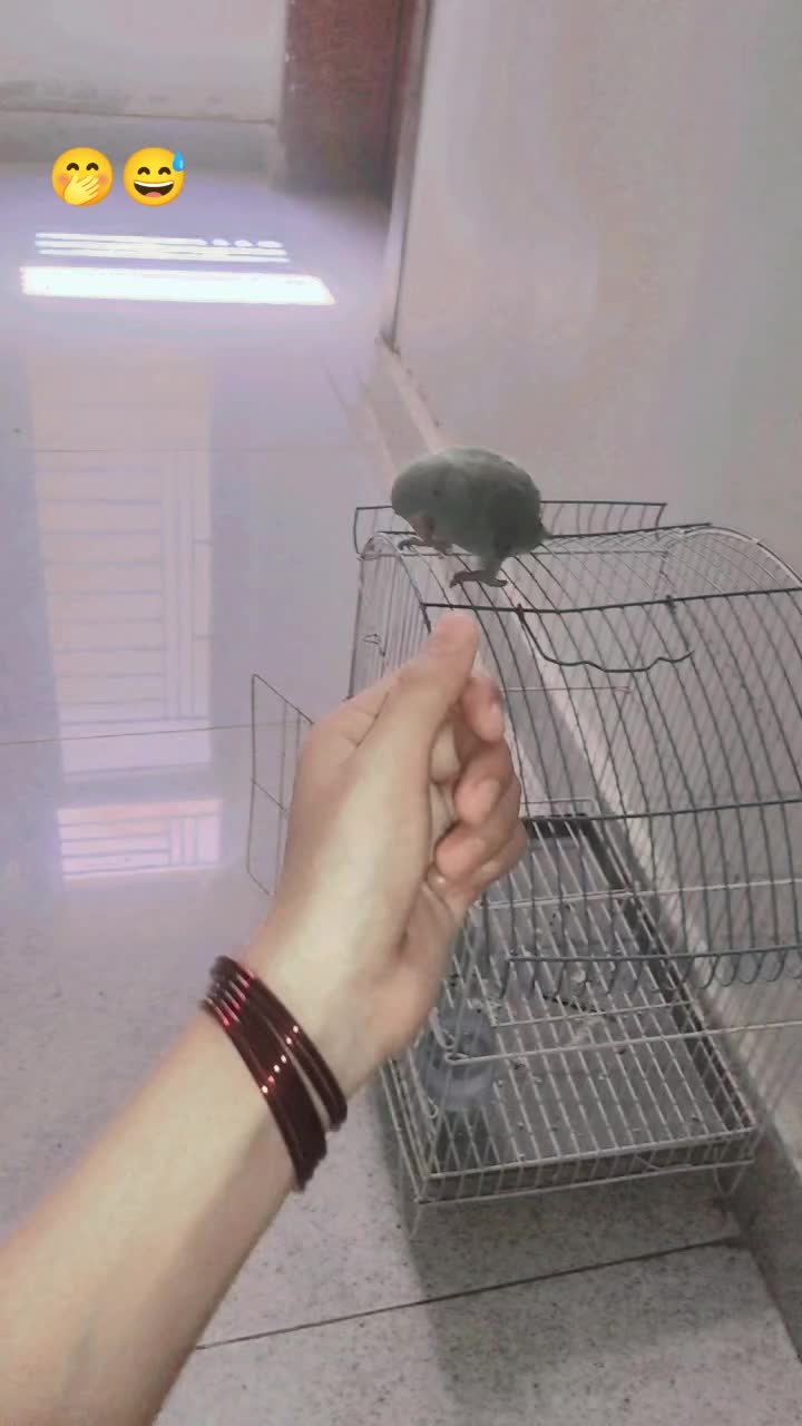 @👻 Man&otilde; 💗