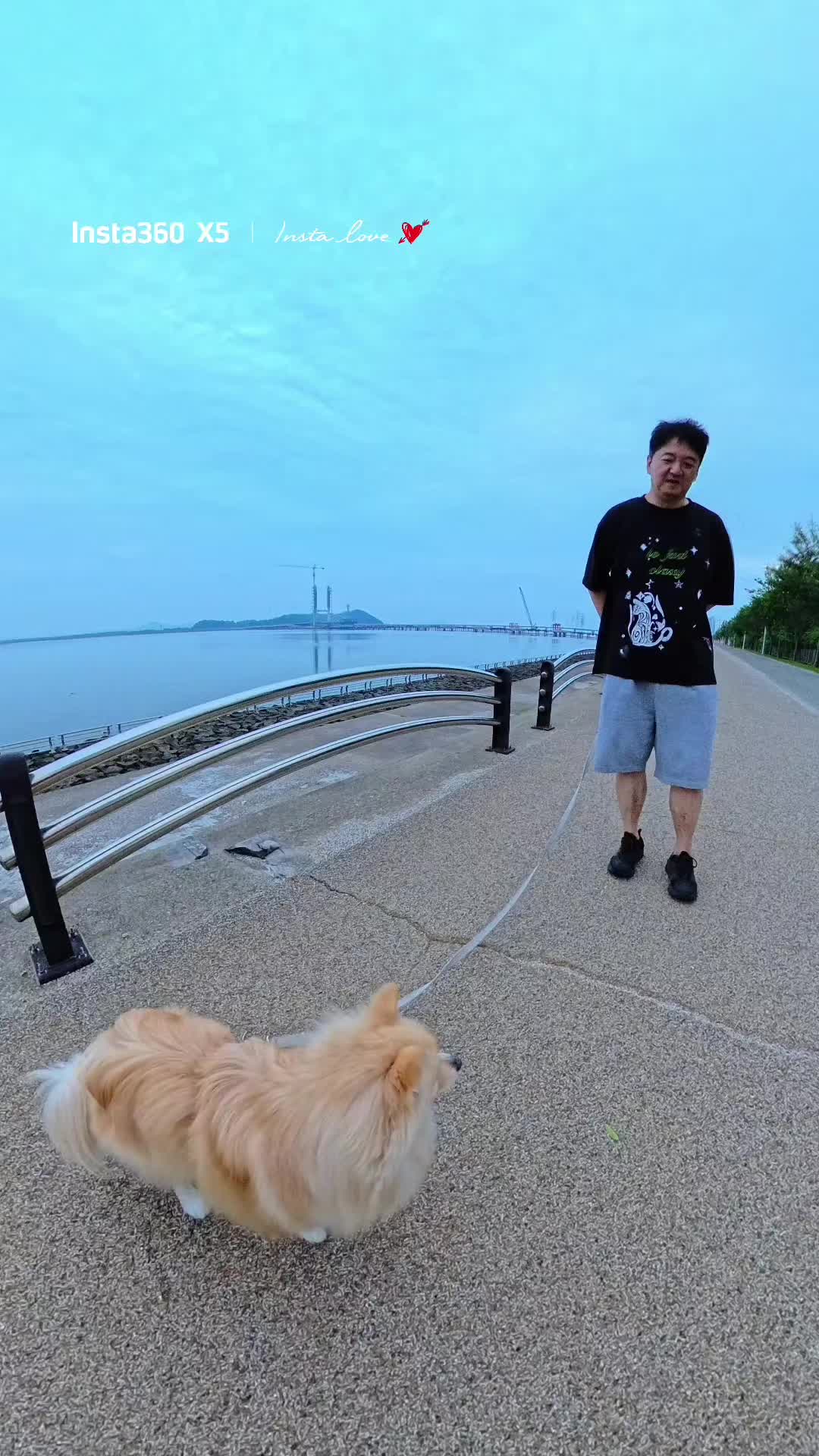 @이상춘