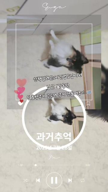@୧⍣⃝ɷ초코ɞ୨