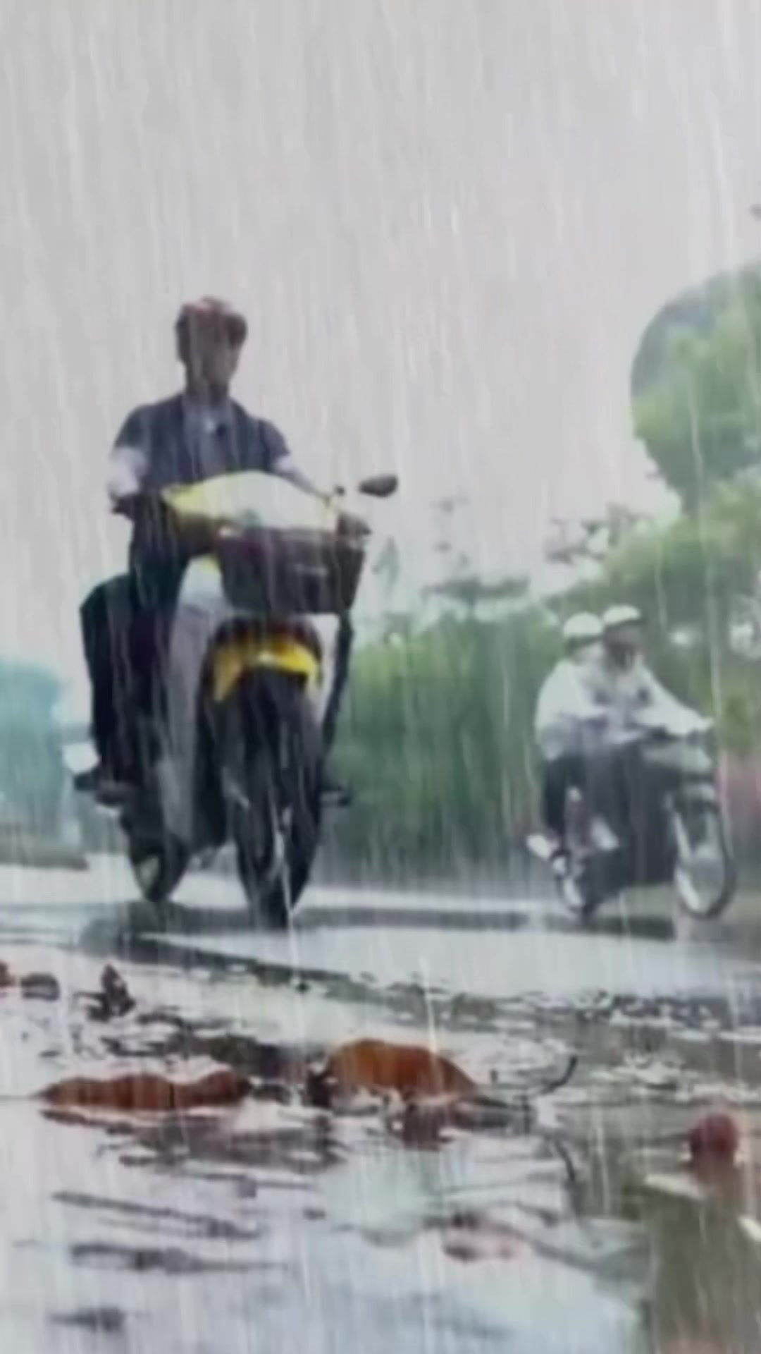 @Long Quận 9