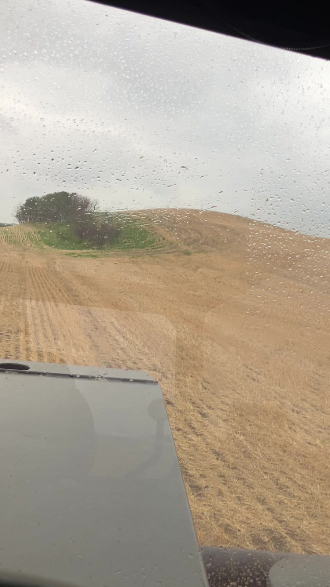 @bf48farmer