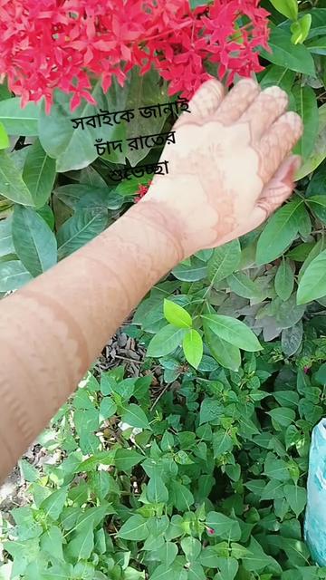 @এলিয়েন গালফ্রেন্ড🤭🤭🫣