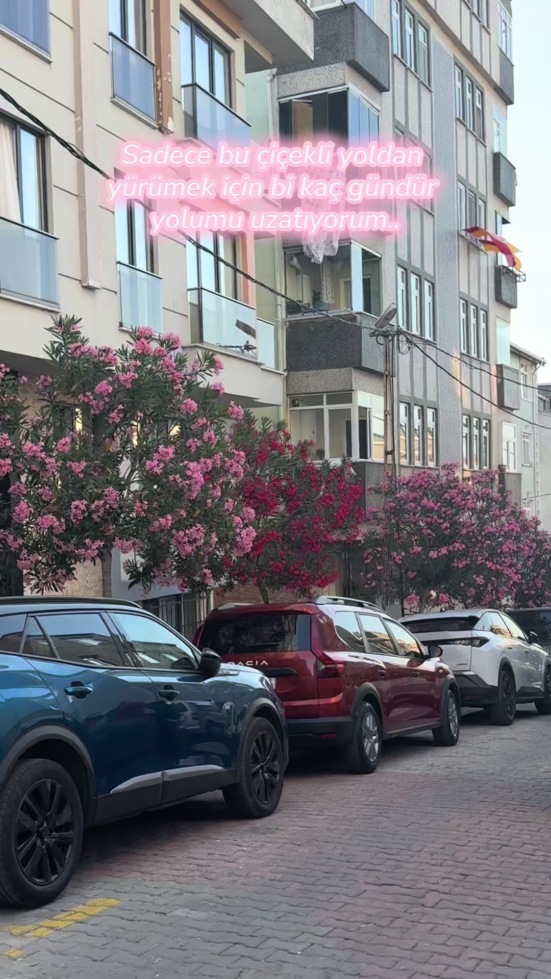 @serenayflex