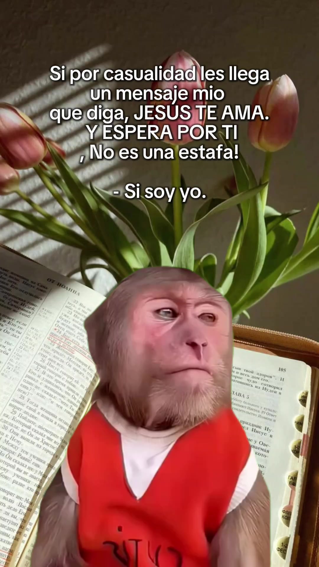 @Gina Paola