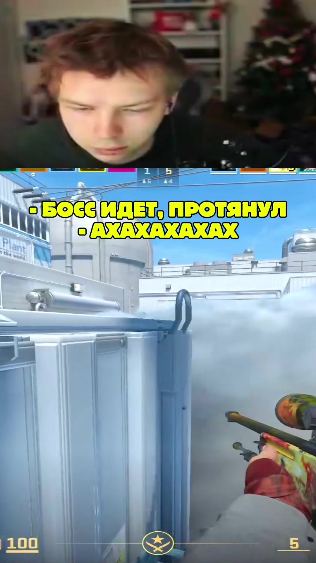 @ЧаХлео Твич