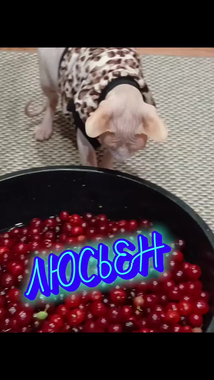 @💥💫_ЛЮСЬЕН_