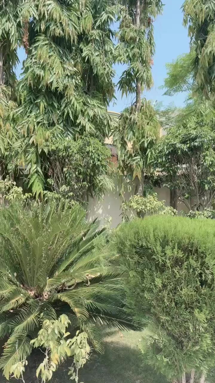 @naveedch123