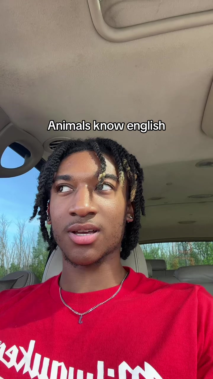 @Jaquell
