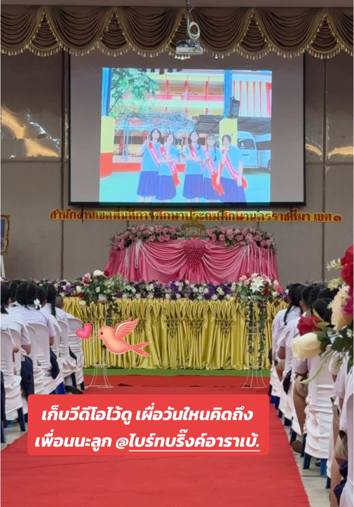 @ไบร์ท บริ๊งค์ อาราเบ้
